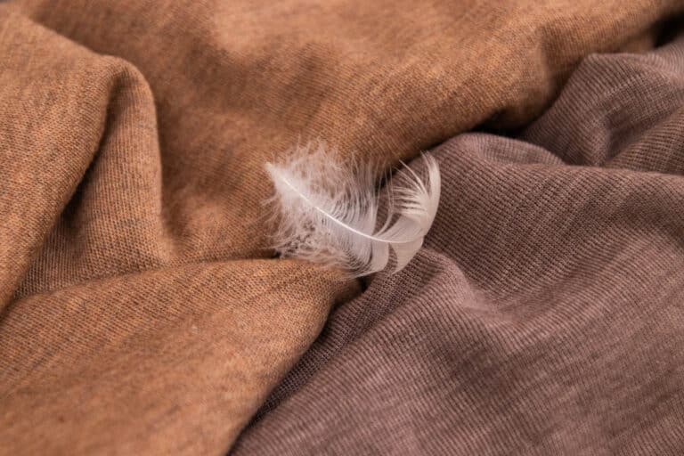 Jak jemná je merino vlna? Co znamenají mikrony u&nbsp;merina?